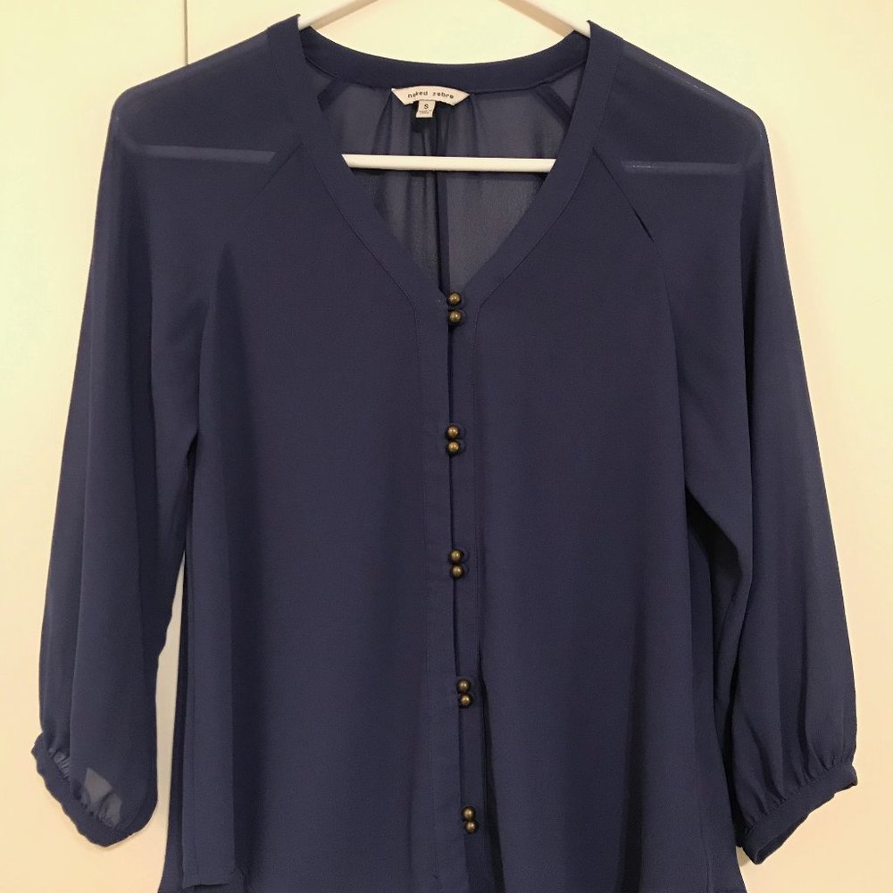 Naked Zebra Blue Sheer Top